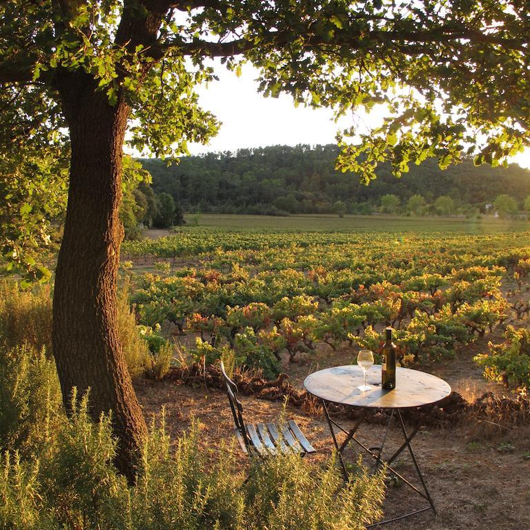 Bed and Breakfast Les Pierres Sauvages Besse-sur-Issole Exterior foto