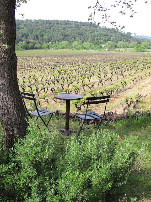 Bed and Breakfast Les Pierres Sauvages Besse-sur-Issole Exterior foto